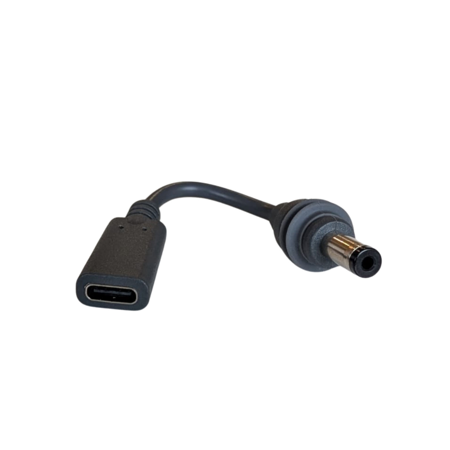 Starlink Mini Male - USB-C Female Connector